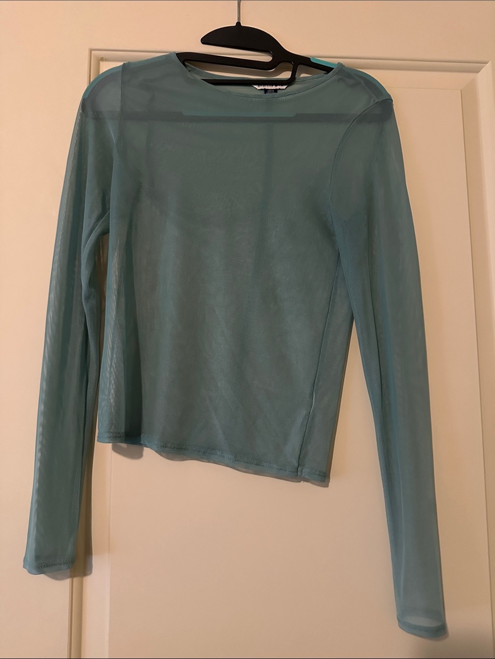 American Eagle Outfitters Sheer Long-Sleeve Top in Teal